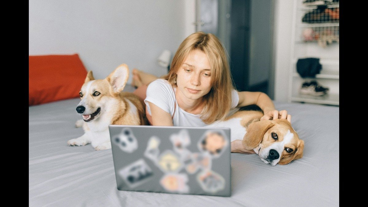 A young woman lying on a bed with two dogs