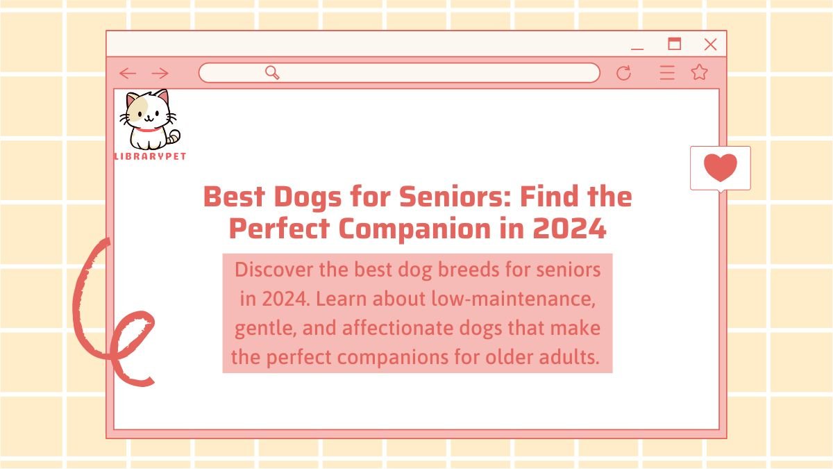 best dogs for seniors